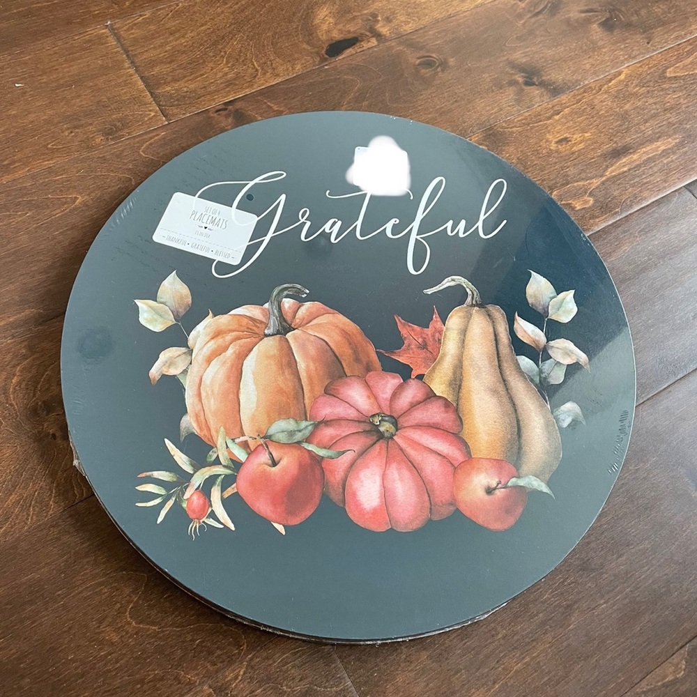 Pumpkin themed placemats set of 4 - Picture 1 of 4